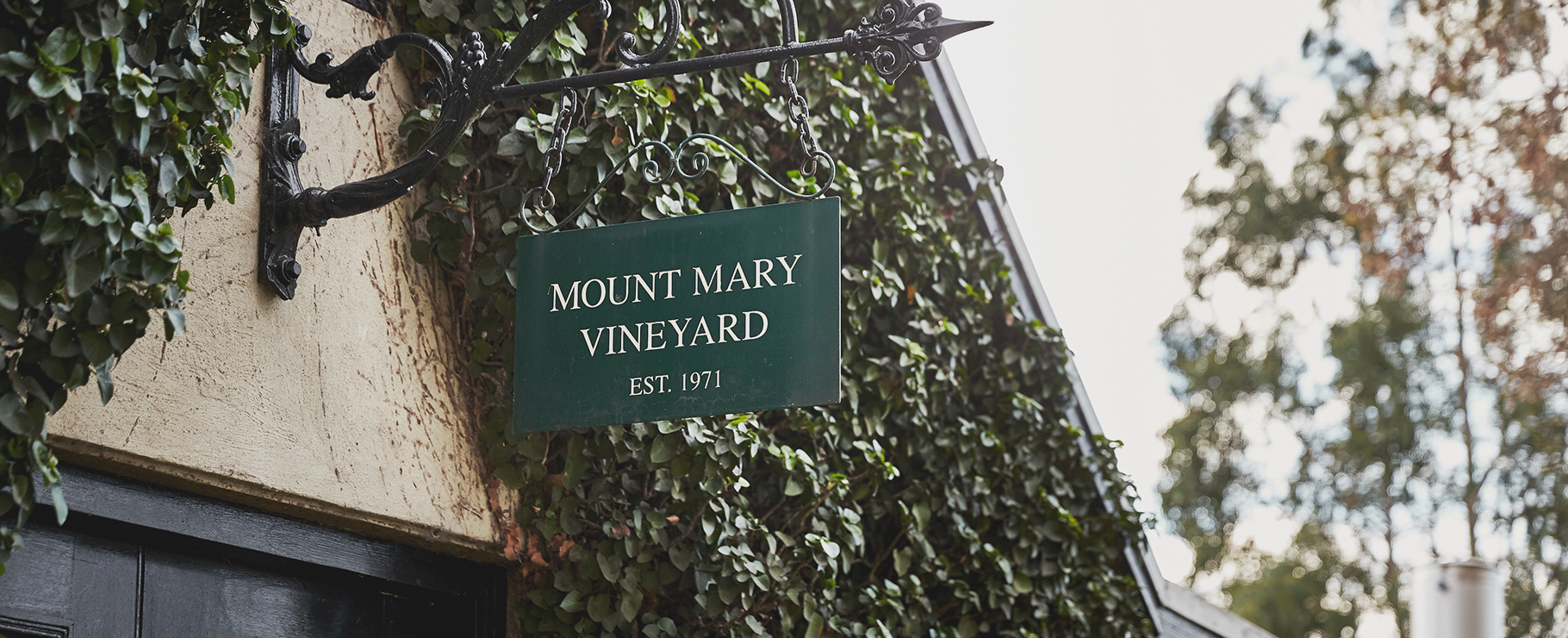 Hero shot of Mount Mary Vineyard